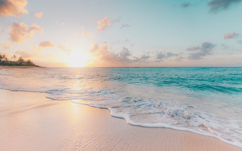 Preset Lightroom — Warm & Golden